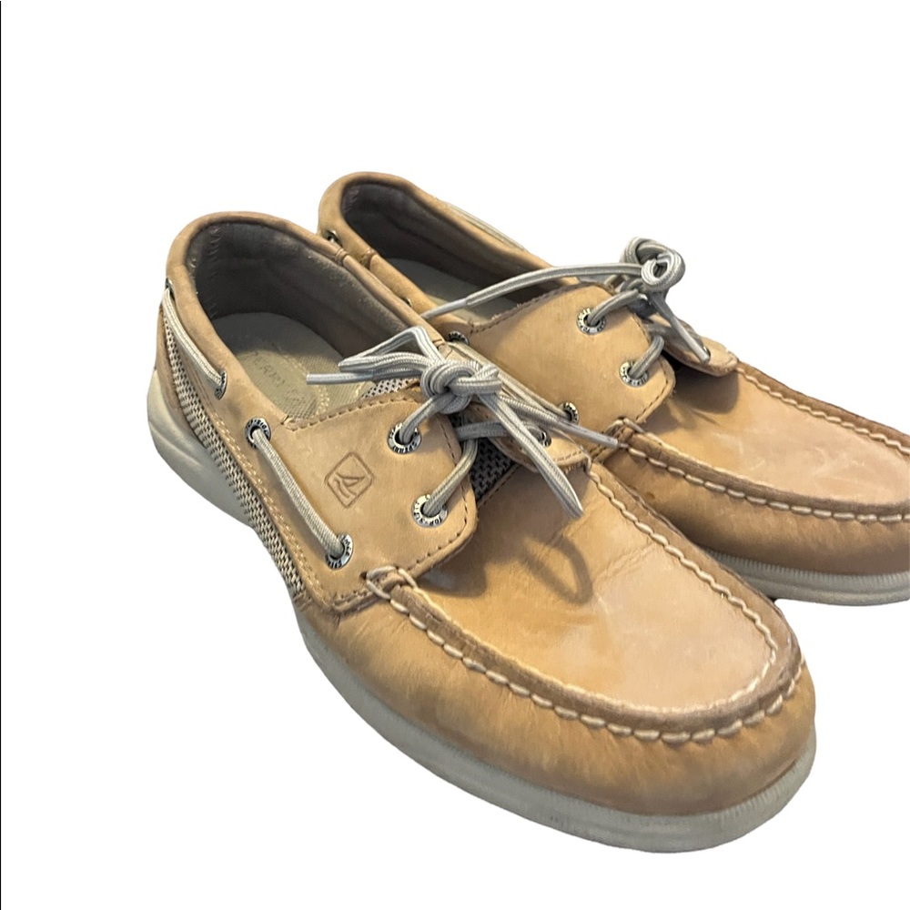 Sperry Boat Shoes (High Cut)